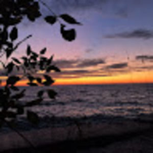 Meet your Posher, Kailee